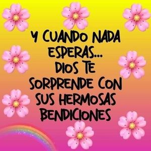 Meet your Posher, Martha